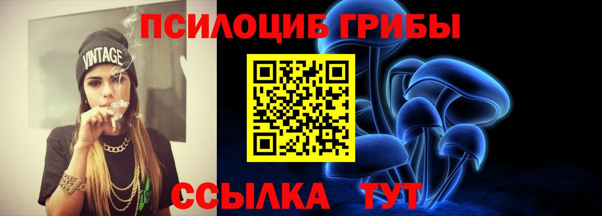 Псилоцибиновые грибы Magic Shrooms  Галлюциногенные грибы Cubensis  Городец  Вход с VPN 
